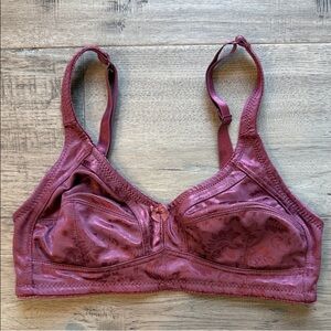 Rose Intimates Pink Bra 34B